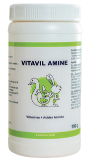 VITAVIL AMINE - Vitamines et acides amins